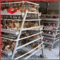 Jaula de pollos de alta calidad Tanzania Layer Poultry Farm en venta